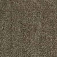 TEDDY 25