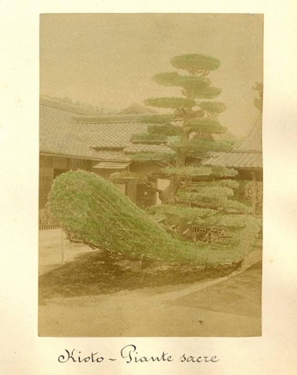 Temples in Japan - Ancient Albumen Print 1870/1890 1870/1890