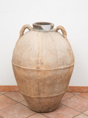 Terracotta Amphora Vase with Torchion Handles, 20th Century-KKK-1821633