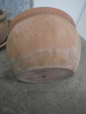 Terracotta Vase from Terracino, Italy, 1960s-WWQ-935375