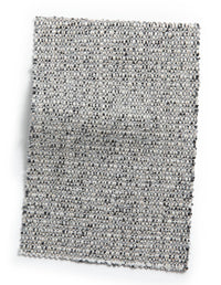 Iris 57