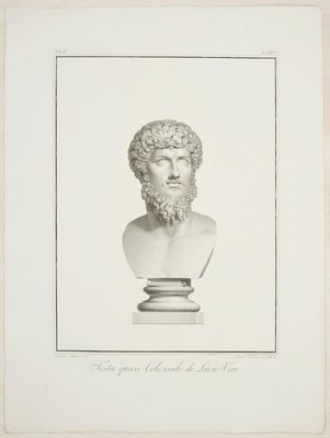 Testa Quasi Colossale di Lucio Vero - Etching by P. Fontana 1821-ZCI-757994