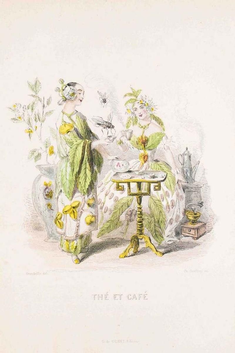 Thé et Café - Les Fleurs Animées Vol.II - Litho by J.J. Grandville - 1847 1847