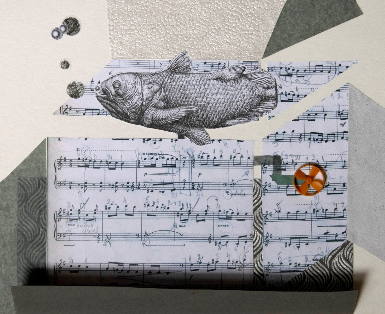 The Music Box by Raluca Arnăutu, Collage on Paper