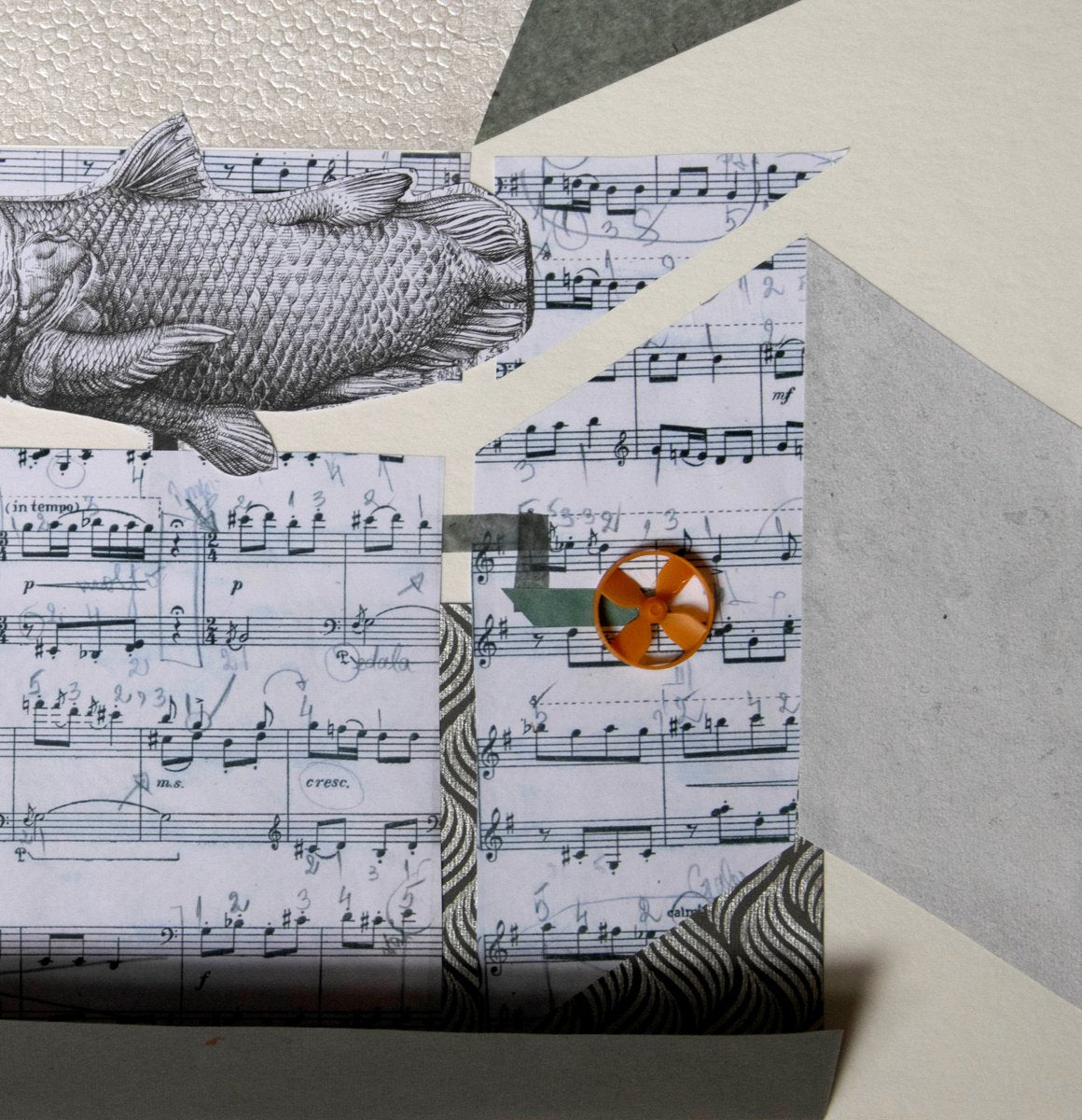 The Music Box by Raluca Arnăutu, Collage on Paper