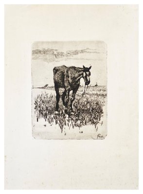 The Old Horse - Original Etching by Giovanni Fattori - 1900-1908 ca. 1900-1908-ZCI-756101