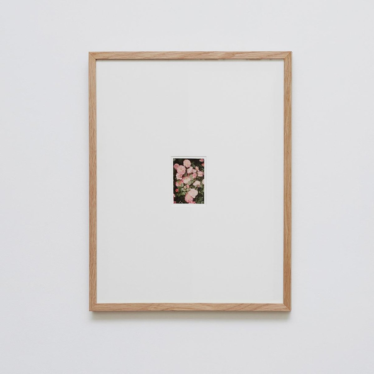 The Rose Garden Prints by David Urbano, 2018, Set of 9