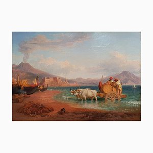 The Wagon of the Coopers in the Gulf of Naples with the Vesuvius on Background-ZCI-756369