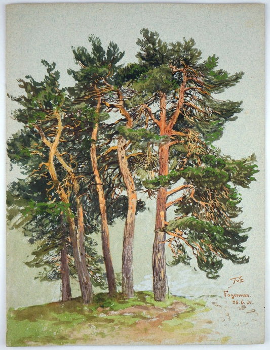 Themistokles von Eckenbrecher, Norwegian Pine Grove, 1901, Watercolor