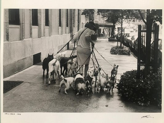 Thomas Consani, New York, 1996, Photography-KHH-1321448