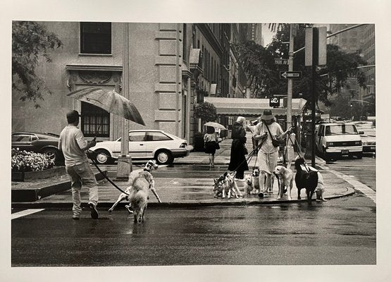 Thomas Consani, New York (Dog Sitters), 1994, Silver Print-KHH-1743824