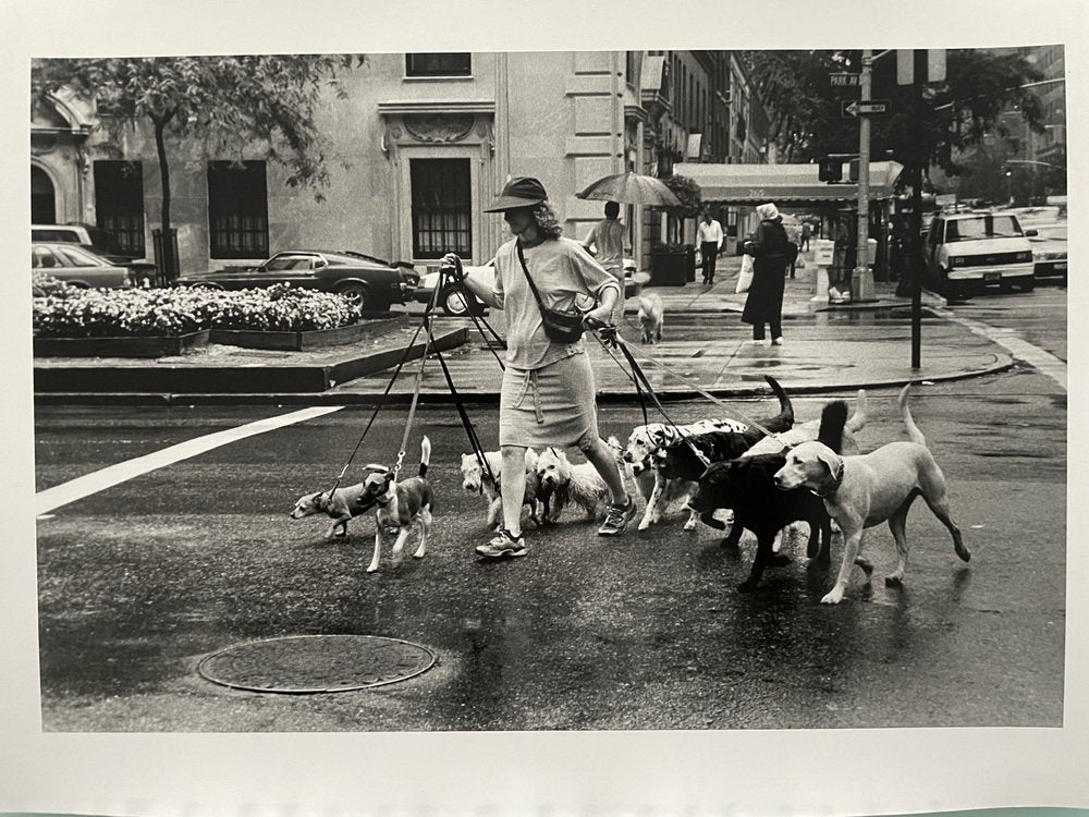 Thomas Consani, New York (Ten Dogs), 1994, Silver Print