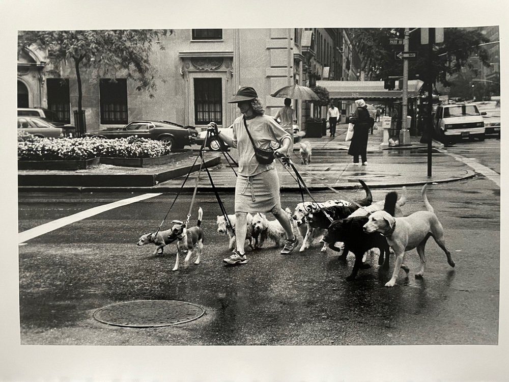 Thomas Consani, New York (Ten Dogs), 1994, Silver Print