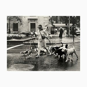 Thomas Consani, New York (Ten Dogs), 1994, Silver Print-KHH-1743846