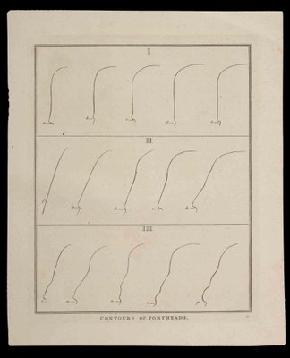 Thomas Holloway - Contours of Foreheads - Original Etching by Thomas Holloway - 1810-ZCI-1165766