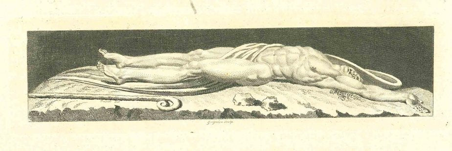 Thomas Holloway, Dead Corpus After Grignion, Original Etching, 18th Century-ZCI-1379780