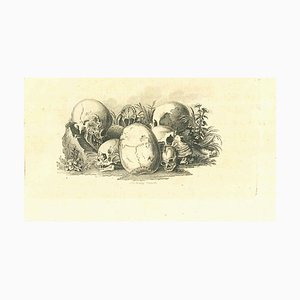 Thomas Holloway, Skulls: The Physiognomy, Etching, 1810-ZCI-1760346