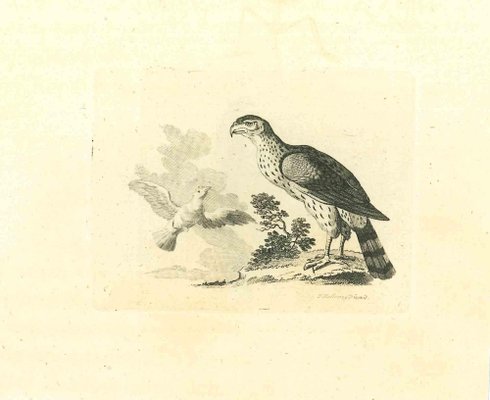 Thomas Holloway, The Birds, Original Etching, 1810-ZCI-1379795