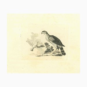 Thomas Holloway, The Birds, Original Etching, 1810-ZCI-1379795