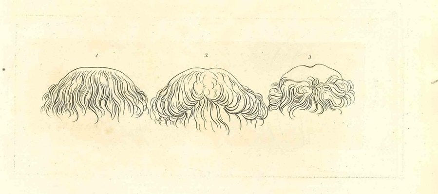 Thomas Holloway, The Physiognomy, Hairstyles, Original Etching, 1810-ZCI-2029634