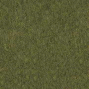 EGL31_Olive