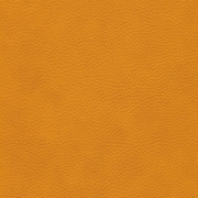 sk_F6461666