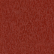sk_F6461702