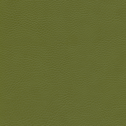 sk_F6461705