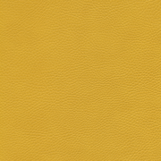 sk_F6461706