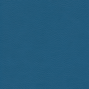 sk_F6461709