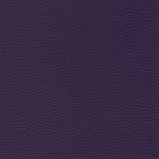 sk_F6461736