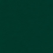 sk_F6461768