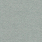 CENTO_02061.07_ray