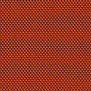 18_NOVUM_coral