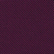 23_NOVUM_viola