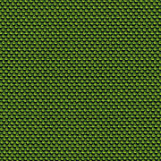 38_NOVUM_moss