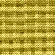40_NOVUM_pear