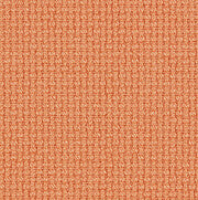 Nobel_63141