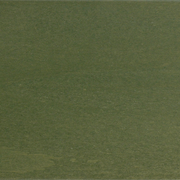 Olive Green RAL 6003