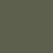 Beige Grey RAL 7006 Matt