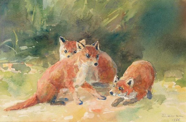 Three Fox Cubs, 1928, Watercolor on Paper, Framed-WMV-1127293