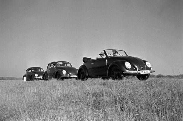 Three Models of the Volkswagen Beetle, Germany, 1938, Photograph-DYV-1112155