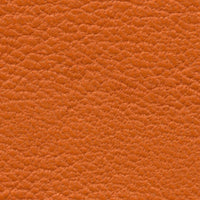 Tivoli Gardens (CO2203)