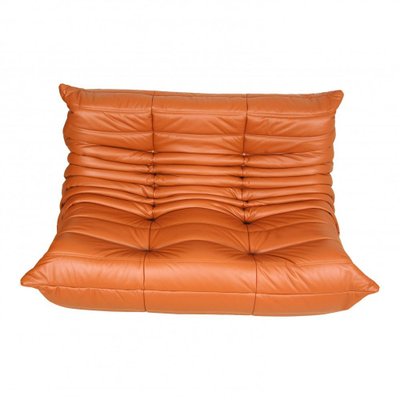 Togo 2-Seater Sofa in Cognac Classic Leather by Michel Ducaroy for Ligne Roset, 1970s-MTD-1400847