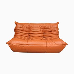 Togo 2-Seater Sofa in Cognac Classic Leather by Michel Ducaroy for Ligne Roset, 1970s-MTD-1400847