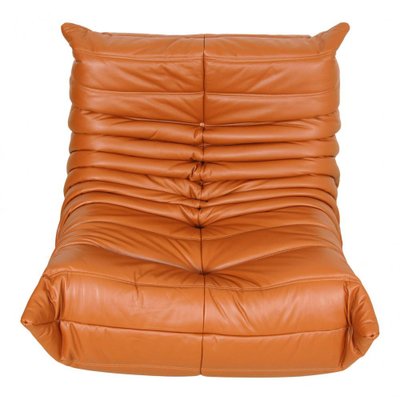 Togo Lounge Chair in Cognac Leather by Michel Ducaroy for Ligne Roset, 1970s-MTD-1400680