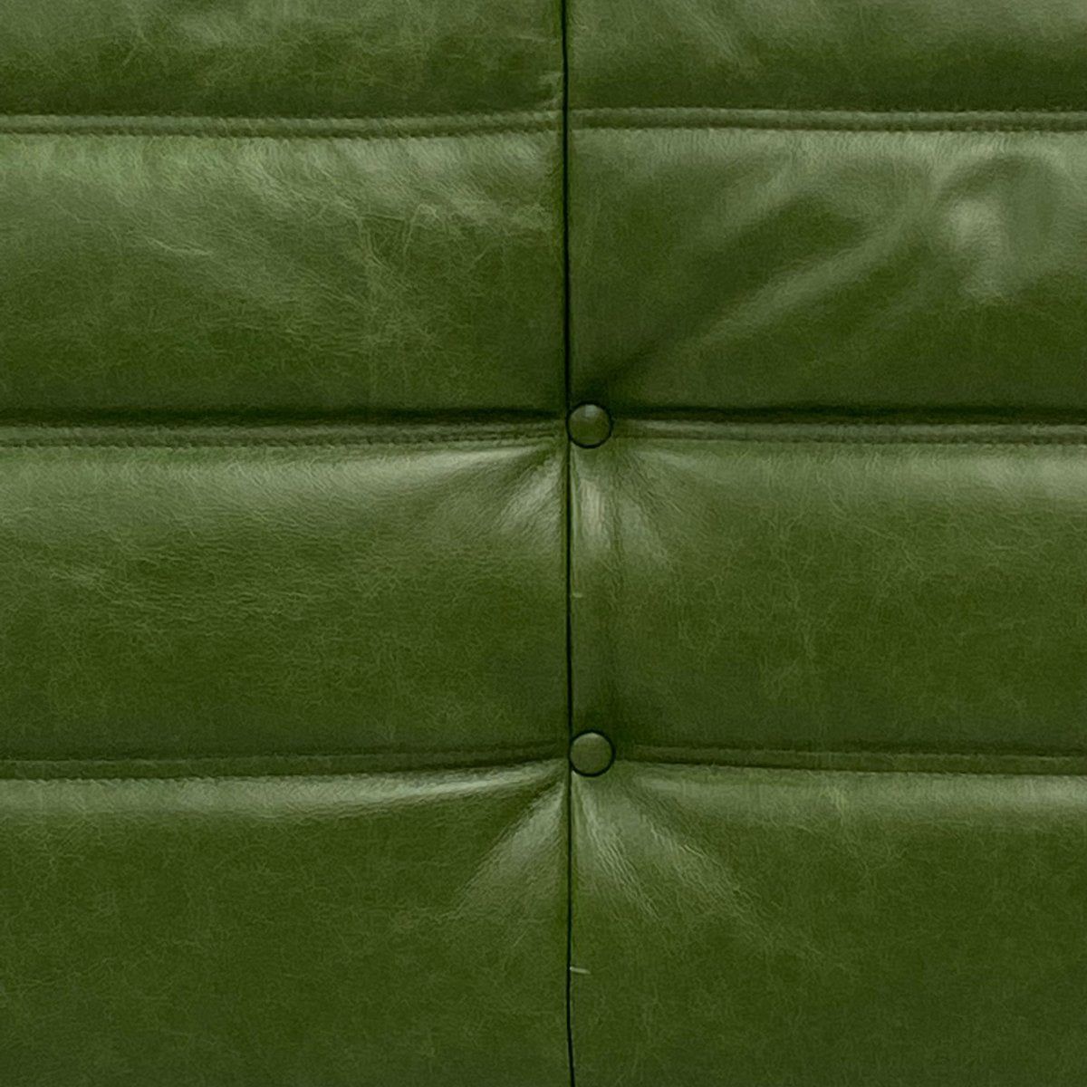 Togo Lounge Chair in Green Leather by Michel Ducaroy for Ligne Roset.