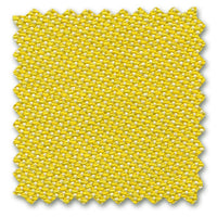 10 yellow/cream