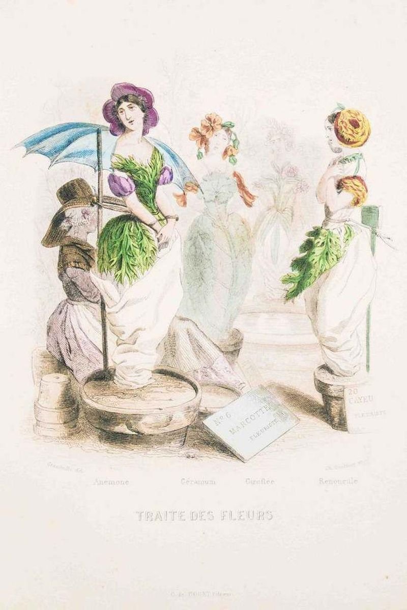 Traite des Fleurs - Les Fleurs Animées Vol.II - Litho by J.J. Grandville - 1847 1847