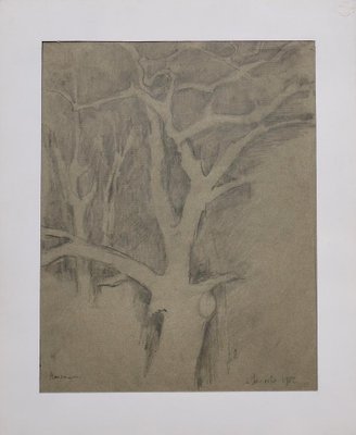 Tree of Life - Original Pencil Drawing - 1982 1982-ZCI-770125